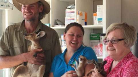 Make a donation to support the work of the kangaroo sanctuary alice springs