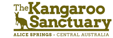 The Kangaroo Sanctuary