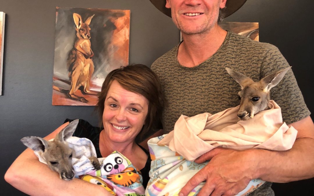 How Brolga became a Kangaroo Mum – Conversations ABC Radio